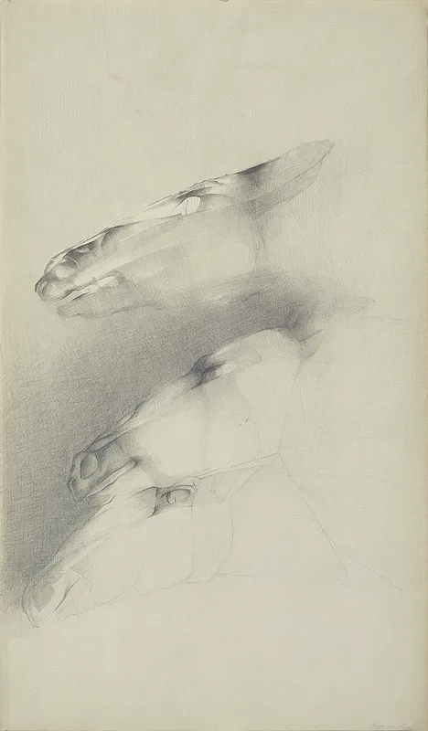 Halina Chrostowska, Konie