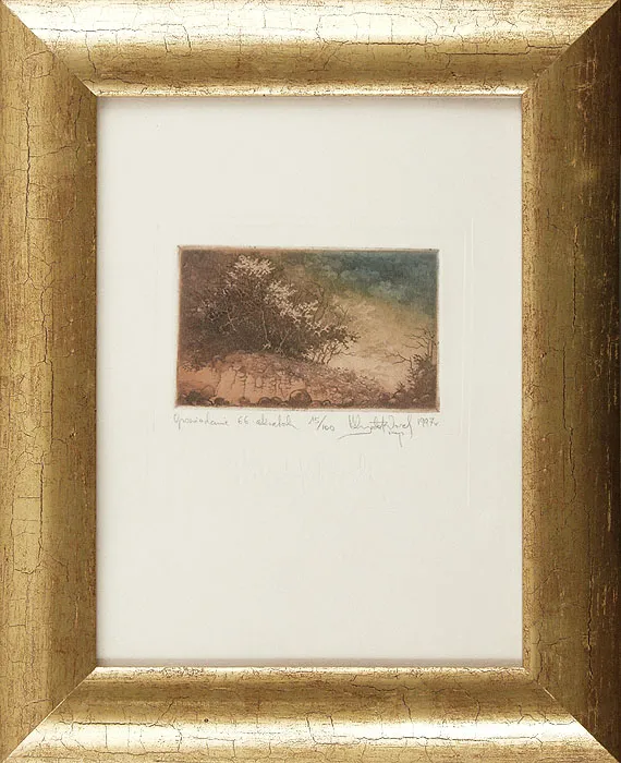 Krzysztof  Wieczorek, Opowiadanie 66, 1997