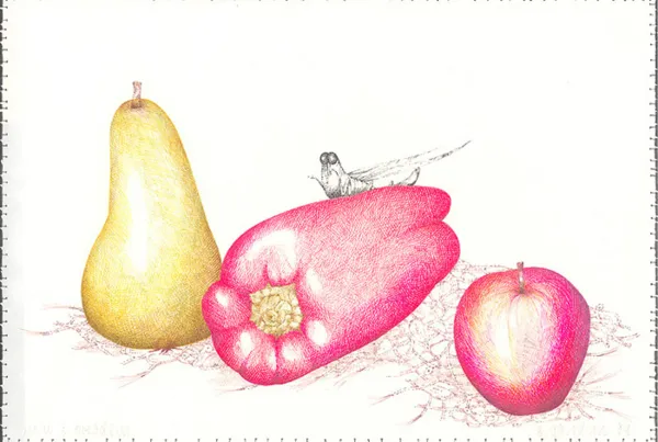 Barbara Gawdzik-Brzozowska, Martwa natura z owadem, 1994