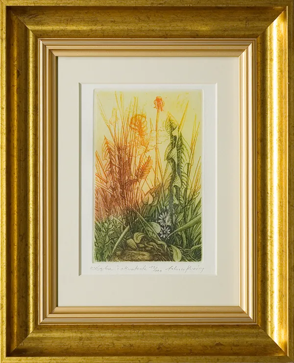 Adam  Kwaśny, Łąka