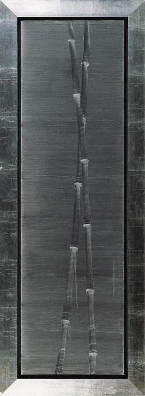 Rafał Bujnowski, Bambus, 2005