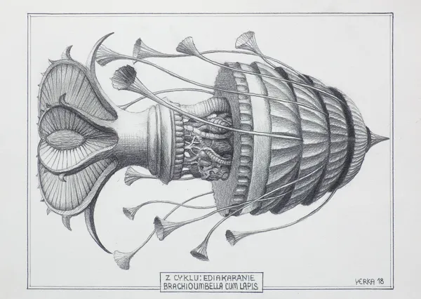 Jacek Yerka, Z cyklu: Ediakaranie; Brachioumbella cum Lapis, 