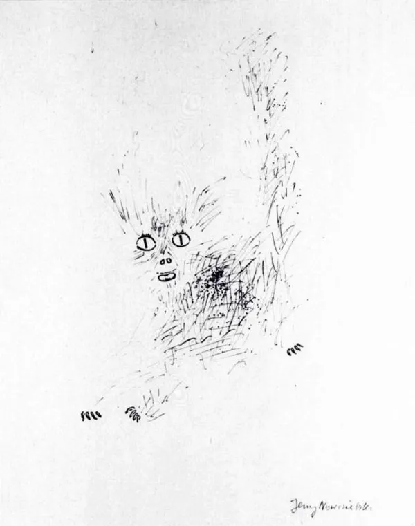 Jerzy Nowosielski, Kot, 1980