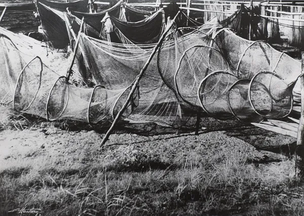 Edward Hartwig, Hel, sieci rybackie