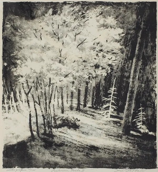 Aleksander Sołtan, Szklarska Poręba III, lata 50. XX w.