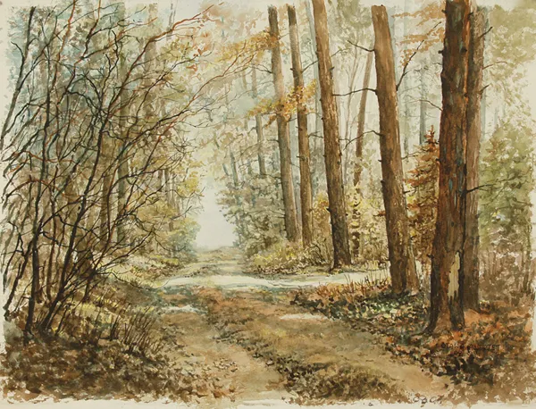 Andrzej Otawa, JESIENNY LAS, 2007