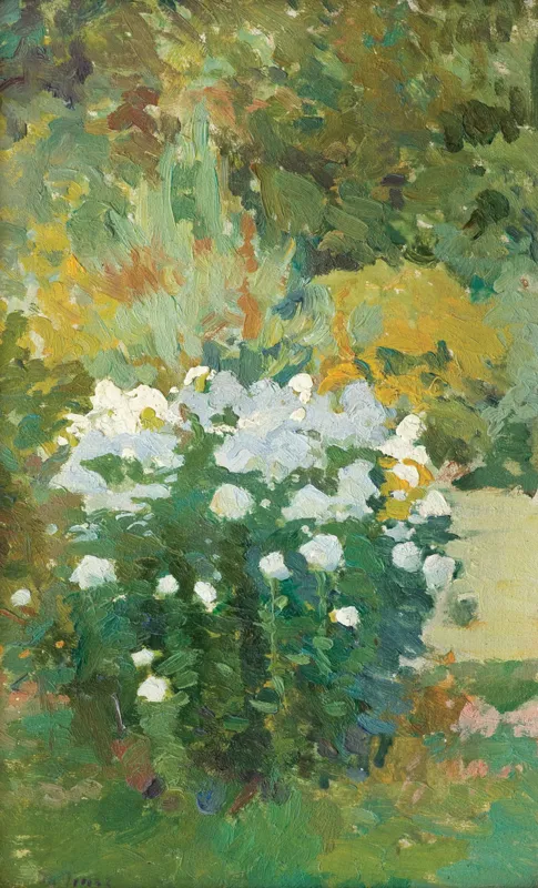 Iwan Trusz, FLOKSY (z cyklu Kwiaty)