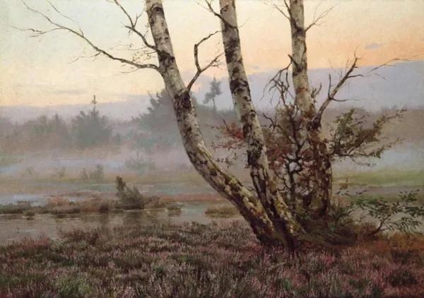 Józef Rapacki, Brzozy na wrzosowisku