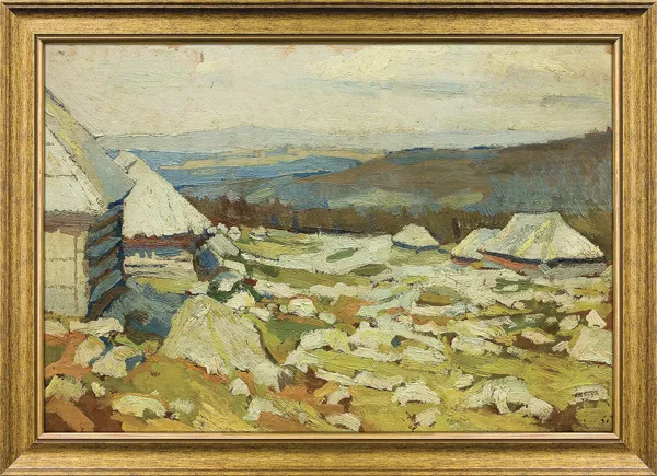 Stanisław Kamocki, HALA GĄSIENICOWA