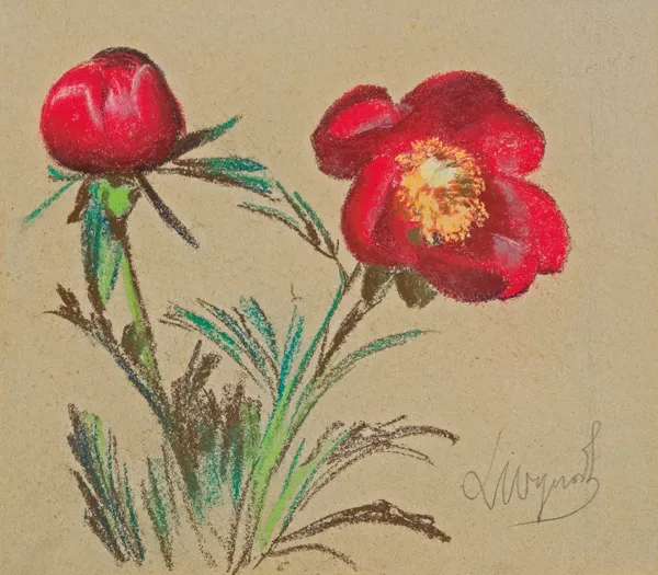 Leon Wyczółkowski, ANEMONY - PĄK I ROZKWITŁY KWIAT