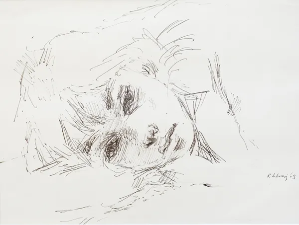 Katarzyna Librowicz, Portret dziewczęcy, 1963