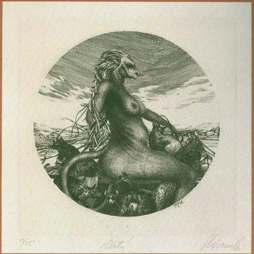 Krzysztof Witold Skórczewski, Koty