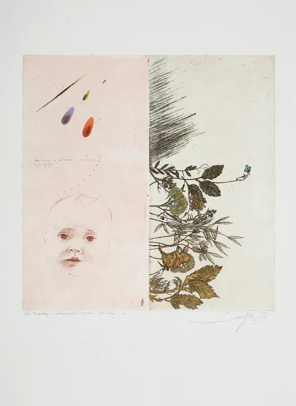 Leszek Rózga, Dla Pauliny, 1979