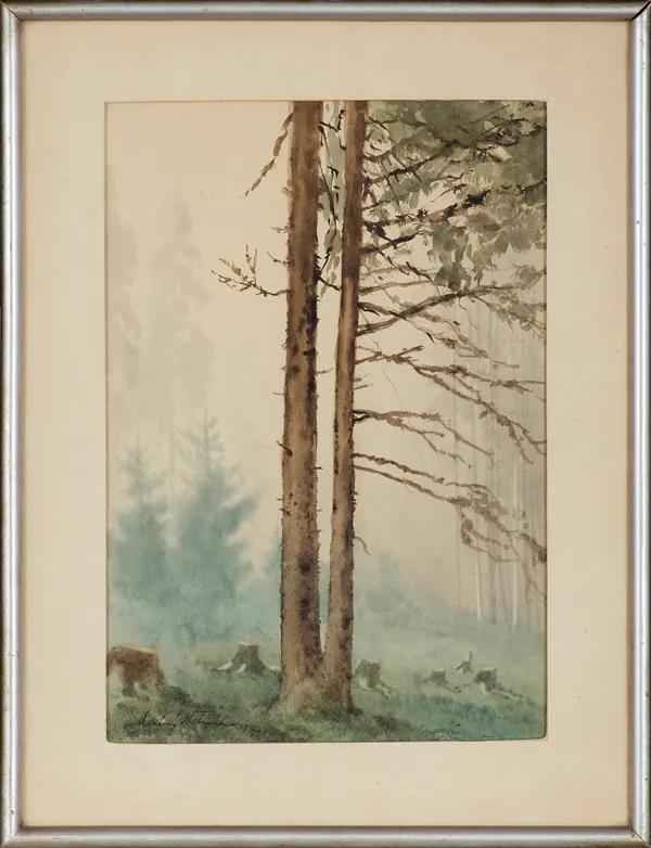 Maciej Nehring, Sosny, 1952