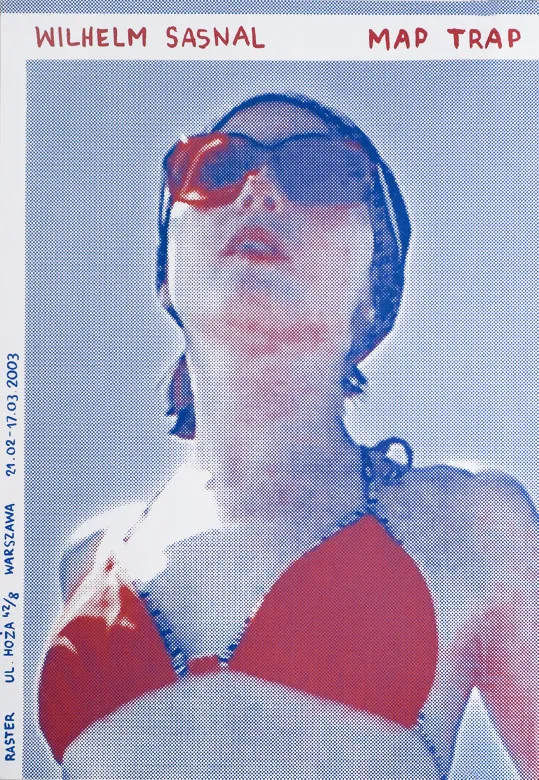 Wilhelm Sasnal, Map trap, 2003
