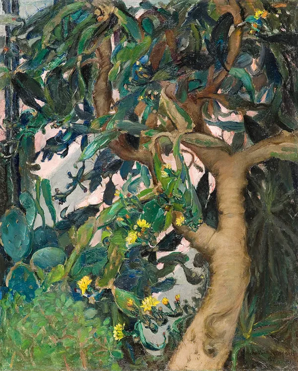 Michalina Krzyżanowska, OPUNCJA W OGRODZIE BOTANICZNYM W WARSZAWIE, 1956