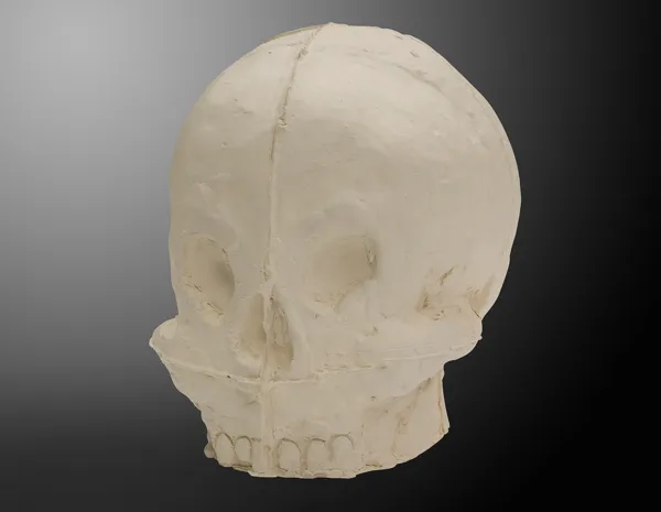 Sylwester Ambroziak, Czaszka, 2012