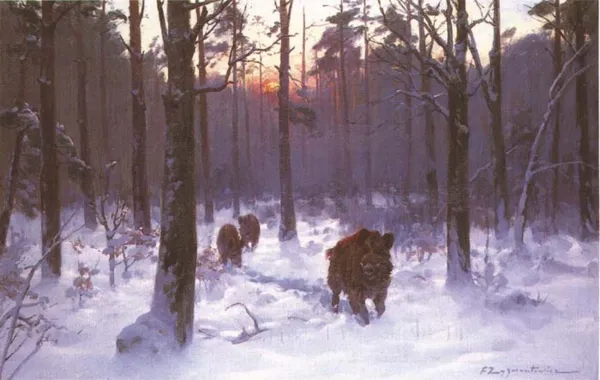 Czesław (I. Zygmuntowicz) Wasilewski, Rodzina dzików