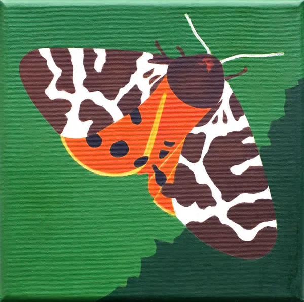 Antoni Janusz Wojnarowski, Niedźwiedziówka, 2017