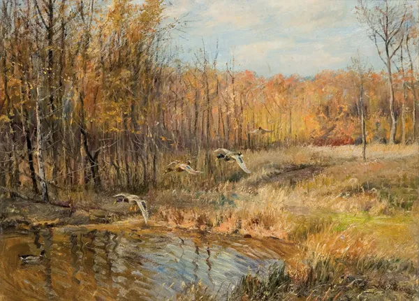 Willy Lorenz, KACZKI NAD WODĄ