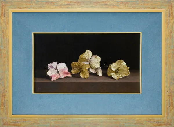 Maciej Cichocki, HORTENSJE, 2017