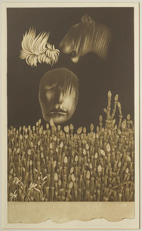 Mieczysław  Majewski, Safari, 1977