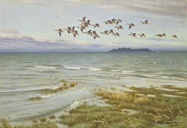 Karl Ewald Olszewski, Gęsi nad Jeziorem Bodeńskim