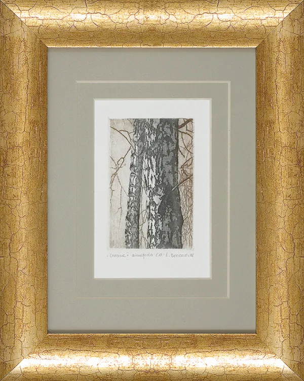 Elżbieta  Bocianowska, Brzezina