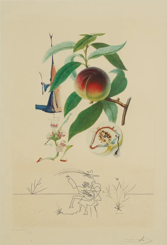 Salvador Dali, PECHER PÉNITENT (BRZOSKWINIA SKRUSZONA), 1969/70