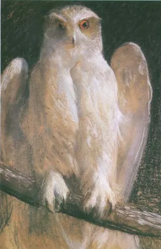 Leon Wyczółkowski, Sowa