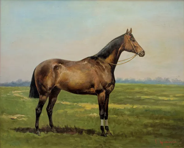 Tadeusz Ajdukiewicz, GNIADY KOŃ, 1886