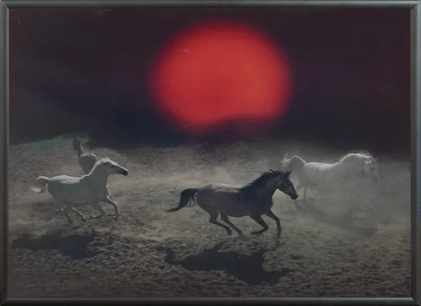 Zofia Raczkowska, Z cyklu Konie, 1986