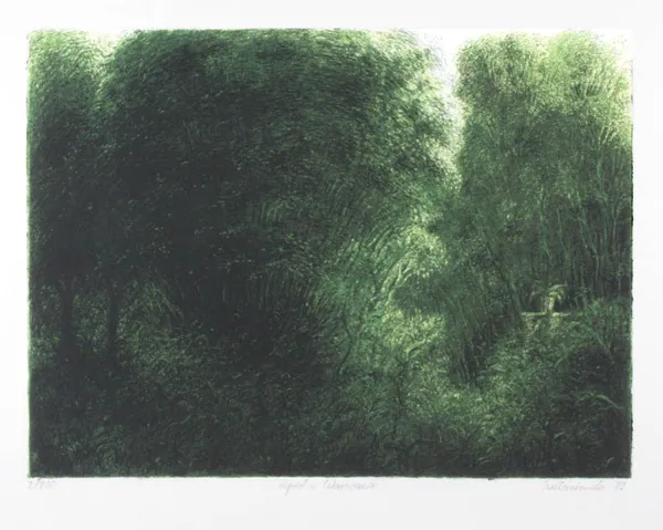 Iwo Zaniewski, Ogród w Warszawie, 1982