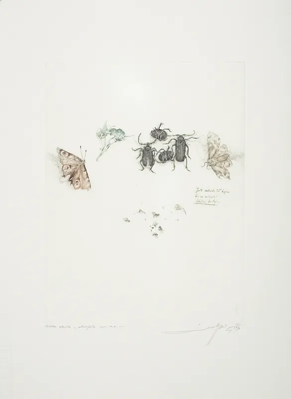 Leszek Rózga, Ulotne chwile, 1973