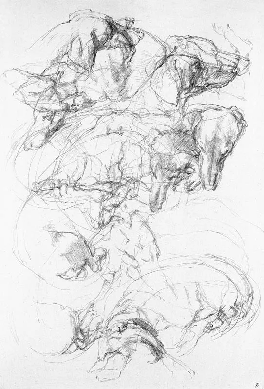 Andrzej Okińczyc, Studium psa, 1997