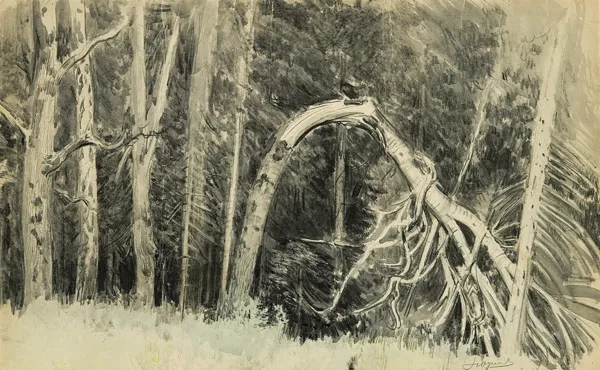 Leon Wyczółkowski, ZAMIEĆ. ZŁAMANE DRZEWO W PUSZCZY, przed 1922