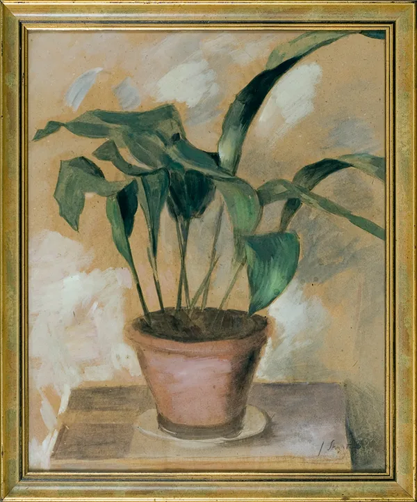 Janusz Strzałecki, Skrzydłokwiat