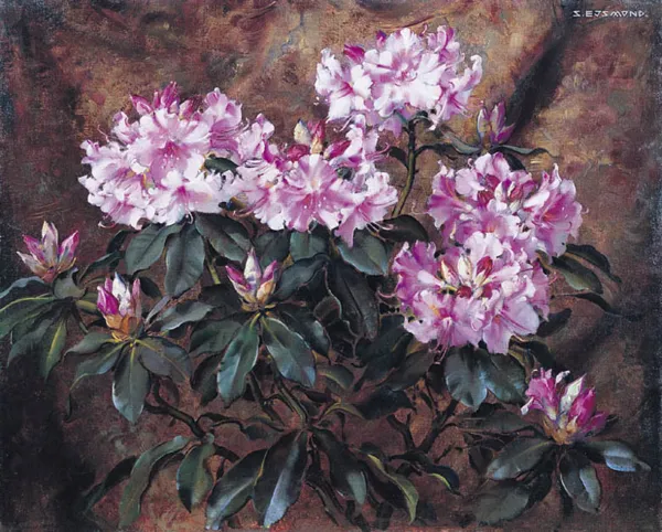 Stanisław Ejsmond, RÓŻOWY RODODENDRON, ok. 1925