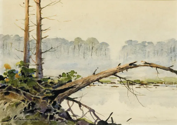 Stanisław Gibiński, MGŁY NAD JEZIOREM