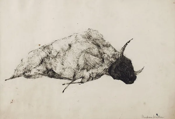 Barbara Jonscher, Leżący byk