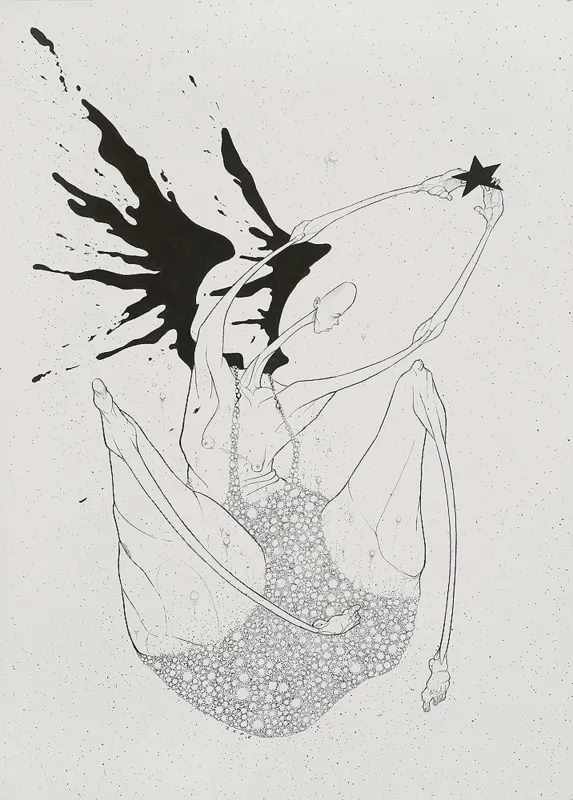 Michał  SEPE Wręga, Spadająca gwiazda