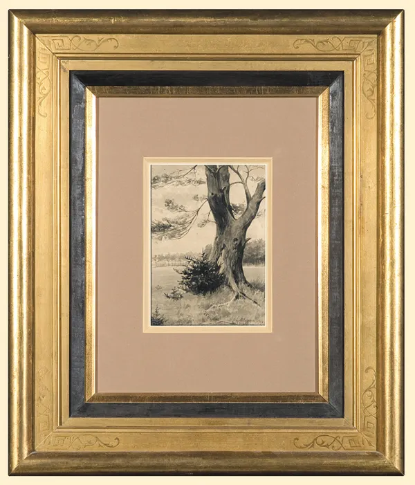 Leon Wyczółkowski, STARE DRZEWO, 1924