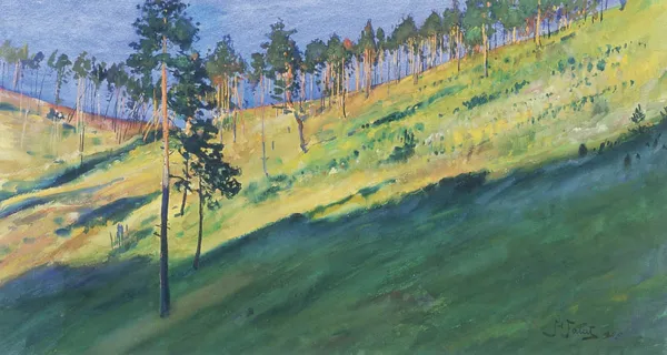 Julian Fałat, Las sosnowy na górskim stoku, 1905