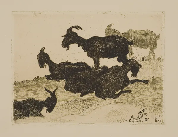 Jan Peske, Odpoczywające kozy