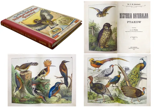 C.H. Schubert, HISTORJA NATURALNA PTAKÓW, 1900 