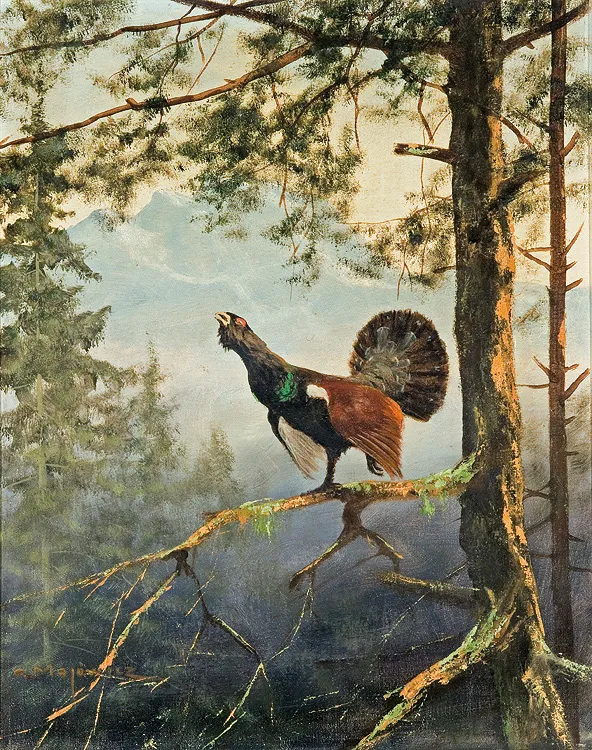 Georg (George) Majewicz, GŁUSZEC