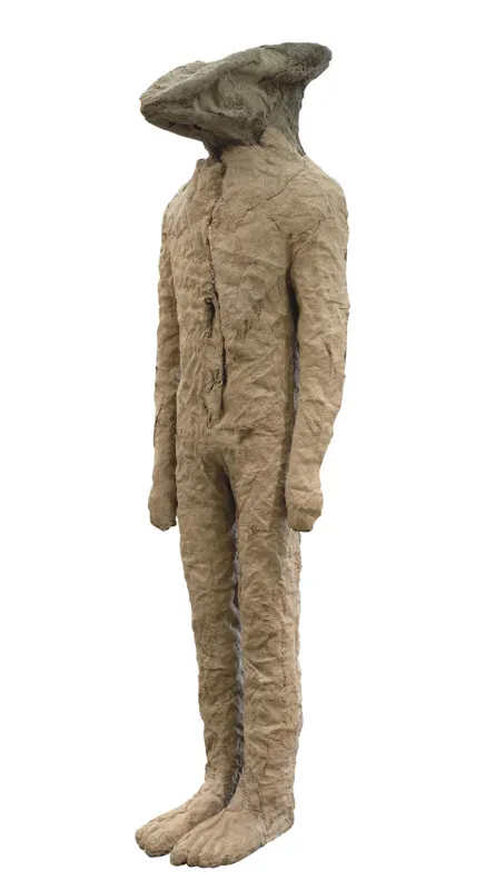 Magdalena Abakanowicz, IBIS, 2008