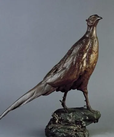 Paul Comolera, Bażant