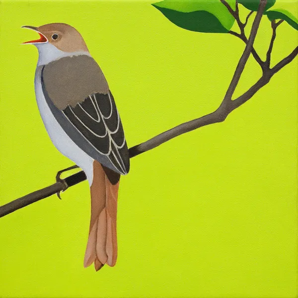 Antoni Janusz Wojnarowski, ŁOZÓWKA, 2015