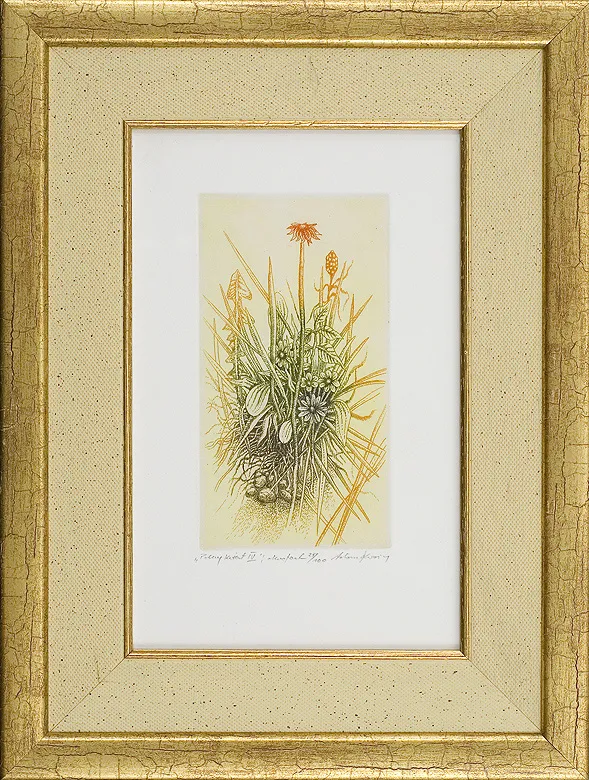 Adam  Kwaśny, Polny  kwiat IV